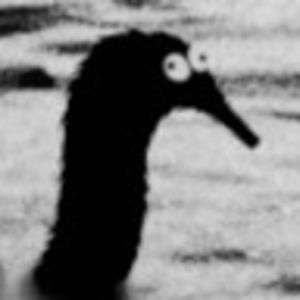 Meet your Posher, Chloe